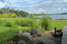 IMG_20240618_205436_824.jpg