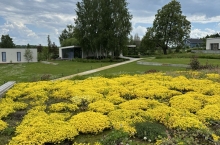 IMG_20240618_205656_939.jpg