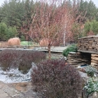 IMG_20241030_072249_603.jpg