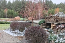 IMG_20241030_072249_603.jpg