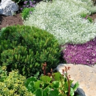 photo_2023-06-18_18-25-49 (3).jpg